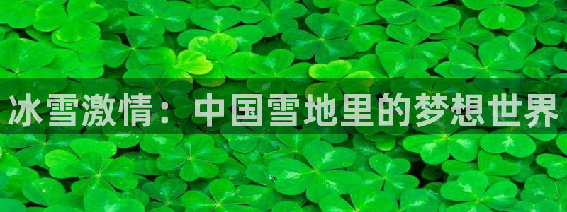 蓝图娱乐体育凯捷登陆：冰雪激情：中国雪地里的梦想世界