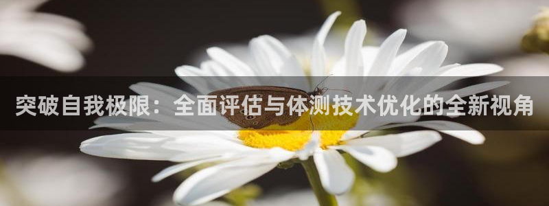 蓝图娱乐官网入口：突破自我极限：全面评估与体测技术优化的全新视角